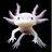Axolotl_pet